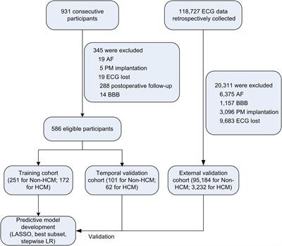 Derivation and Validation of a Screening Model for Hypertrophic Cardiomyopathy Based on Electrocardiogram Features